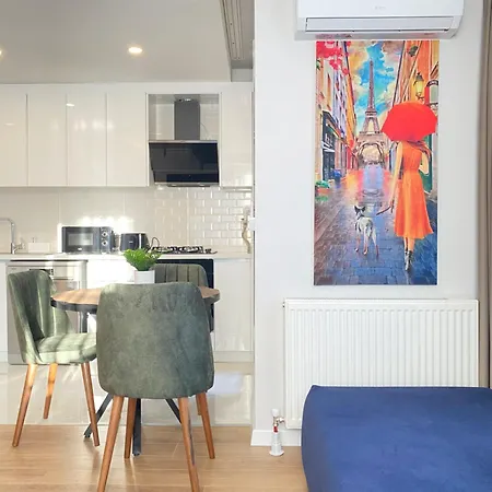 Brand New Cozy 1bdr/1bth In Bakirkoey